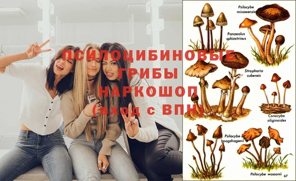 мдпв Балахна