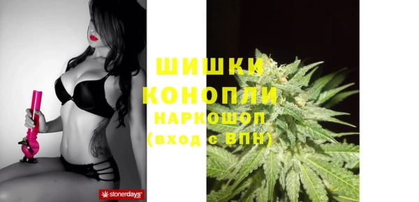 PSILOCYBIN Баксан