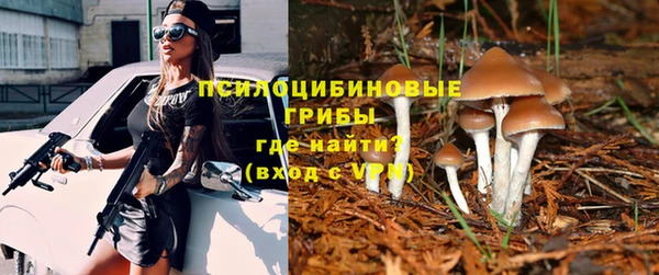 PSILOCYBIN Баксан