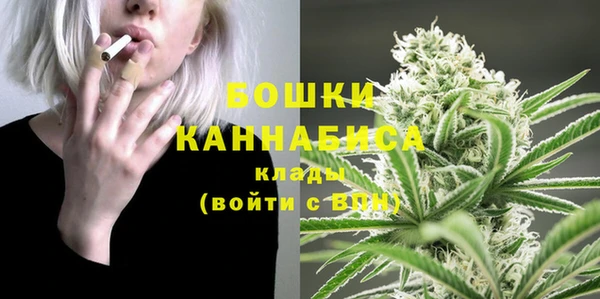 PSILOCYBIN Баксан