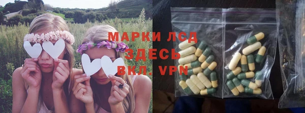 PSILOCYBIN Баксан