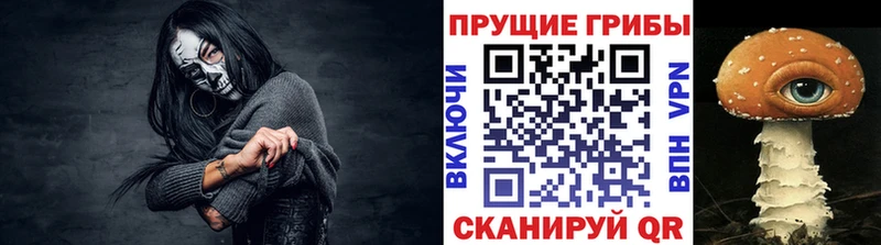 где продают Усть-Джегута mega онион Галлюциногенные грибы Psilocybe