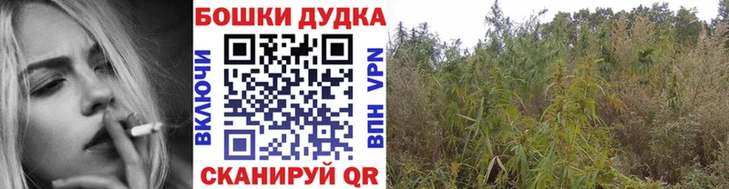 KRAKEN рабочий сайт  где можно купить наркотик  Усть-Джегута  Бошки марихуана тримм 